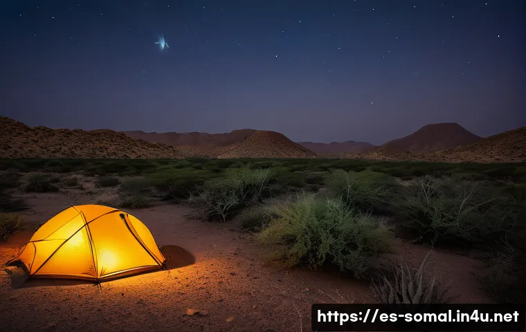 소말릴란드 사막 투어 관련 이미지 2